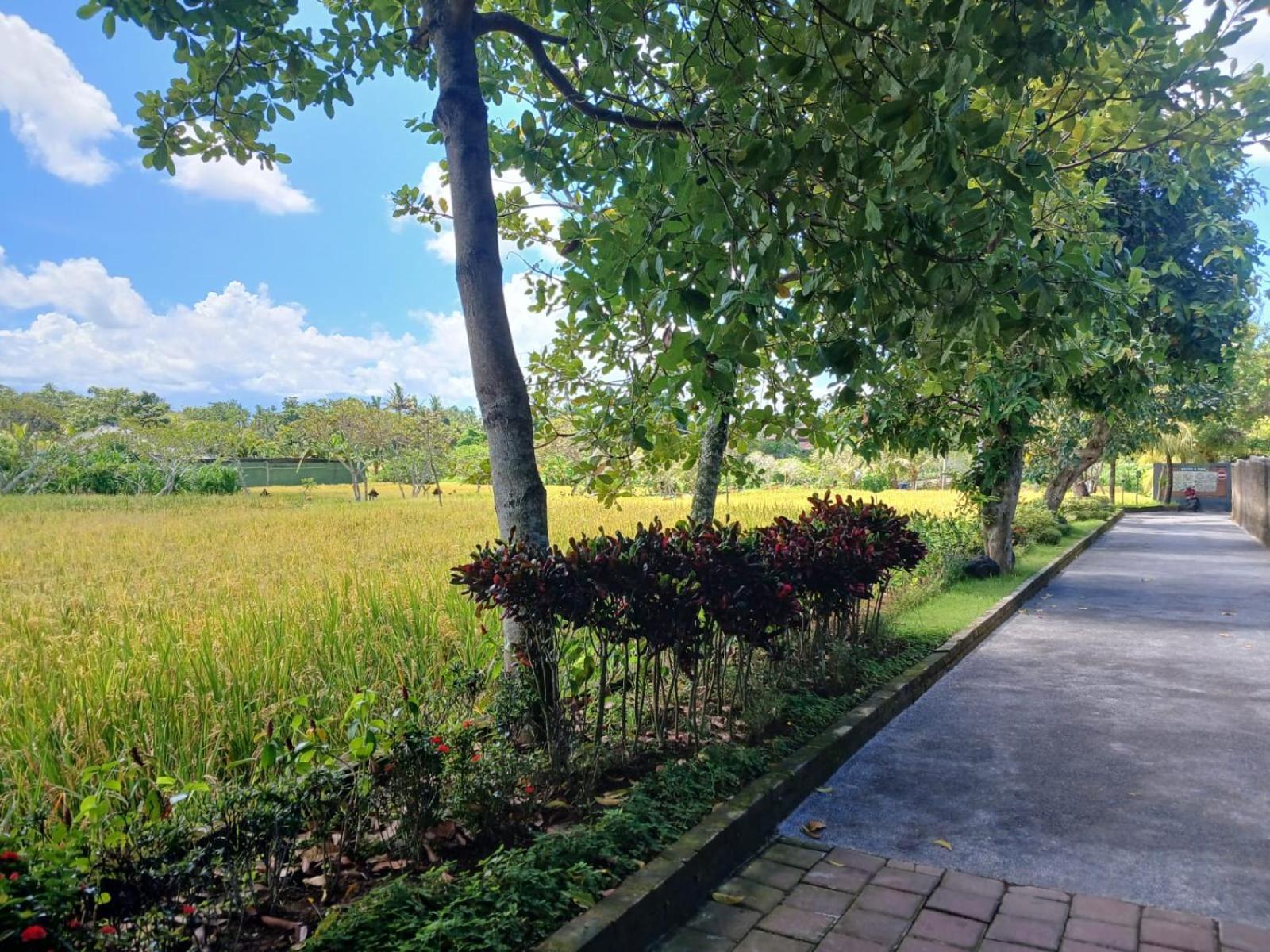 Kartika Dahayu Private Pool Villas Sukawati Eksteriør billede