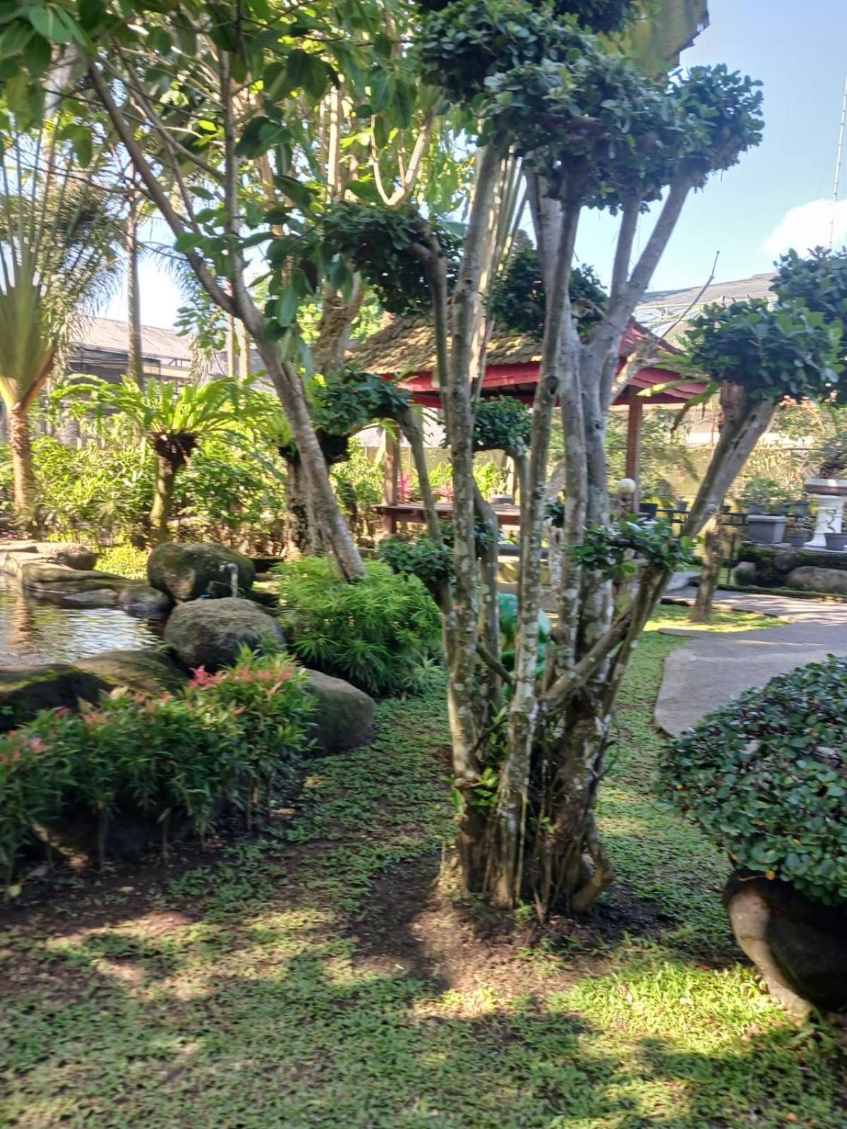 Kartika Dahayu Private Pool Villas Sukawati Eksteriør billede